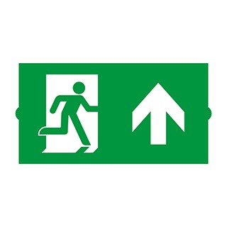 Пиктограмма EMGP-DIRECT-UP (Вверх) (Arlight, Пластик)