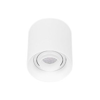 Светильник SP-ACENTO-R95-10W Day4000 (WH, 20-45 deg, 230V) (Arlight, IP20 Металл, 5 лет)