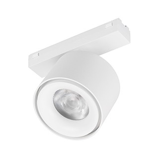 Светильник MAG-VIBE-POINT-R75-10W Day4000-MIX (WH, 24 deg, 48V, DALI) (Arlight, IP20 Металл, 5 лет)