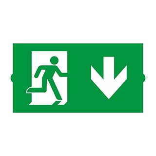 Пиктограмма EMGP-DIRECT-DOWN (Вниз) (Arlight, Пластик)