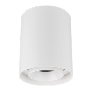 Светильник SP-FOCUS-R132-24W Day4000 (WH, 24 deg, 230V) (Arlight, IP54 Металл, 5 лет)
